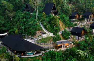 bali-alpha